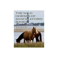 John F Blair Publisher Wild Horses of Shackleford Banks (häftad, eng)