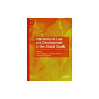 Springer International Publishing AG International Law and Development in the Global South (inbunden, eng)