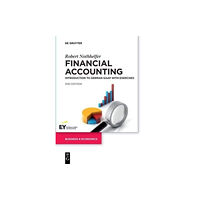 De Gruyter Financial Accounting (häftad, eng)