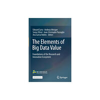 Springer Nature Switzerland AG The Elements of Big Data Value (häftad, eng)