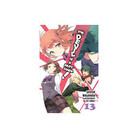 Little, Brown & Company The Devil is a Part-Timer!, Vol. 13 (light novel) (häftad, eng)