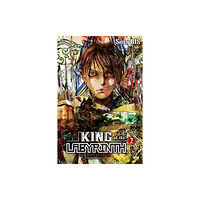 Little, Brown & Company King of the Labyrinth, Vol. 2 (light novel) (inbunden, eng)