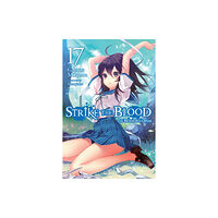 Little, Brown & Company Strike the Blood, Vol. 17 (light novel) (häftad, eng)