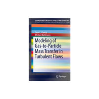 Springer International Publishing AG Modeling of Gas-to-Particle Mass Transfer in Turbulent Flows (häftad, eng)