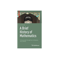 Birkhauser Verlag AG A Brief History of Mathematics (inbunden, eng)