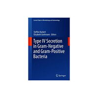 Springer International Publishing AG Type IV Secretion in Gram-Negative and Gram-Positive Bacteria (inbunden, eng)