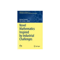 Springer Nature Switzerland AG Novel Mathematics Inspired by Industrial Challenges (häftad, eng)