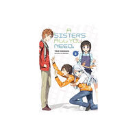 Little, Brown & Company A Sister's All You Need., Vol. 2 (light novel) (häftad, eng)