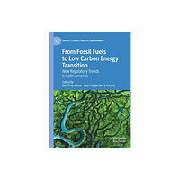 Springer International Publishing AG From Fossil Fuels to Low Carbon Energy Transition (inbunden, eng)