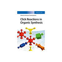 Wiley-VCH Verlag GmbH Click Reactions in Organic Synthesis (inbunden, eng)