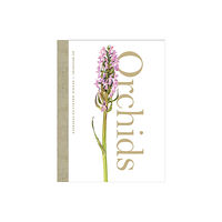 HarperCollins Publishers Orchids (inbunden, eng)