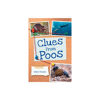 HarperCollins Publishers Clues from Poos (häftad, eng)