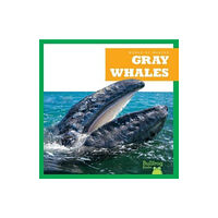 Bullfrog Books Gray Whales (inbunden, eng)