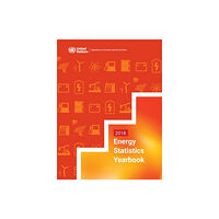 United Nations Energy statistics yearbook 2018 (häftad, eng)