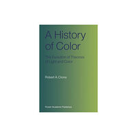 SPRINGER A History of Color (häftad, eng)