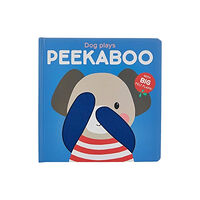 Yoyo Books DOG PLAYS PEEKABOO (inbunden, eng)