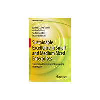 Springer Verlag, Singapore Sustainable Excellence in Small and Medium Sized Enterprises (häftad, eng)