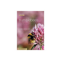 Oxford University Press Bumblebees (häftad, eng)