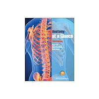John Wiley And Sons Ltd Anatomy at a Glance (häftad, eng)