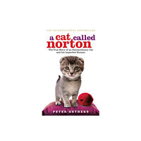 Ebury Publishing A Cat Called Norton (häftad, eng)