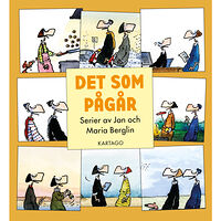 Jan Berglin Det som pågår (bok, danskt band)