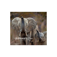 HPH Publishing Let Elephants Roam (inbunden, eng)