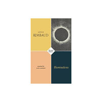 Carcanet Press Ltd Illuminations (häftad, eng)