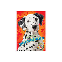 Bellwether Media Dalmatians (inbunden, eng)