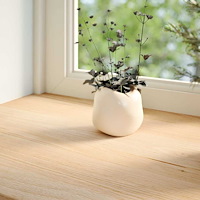 vidaXL Fönsterbänkar 2 st obehandlad 110x15x2 cm massiv ek