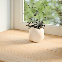 vidaXL Fönsterbänkar 2 st obehandlad 120x20x2 cm massiv ek