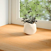 vidaXL Fönsterbänkar 2 st ljusbrun 70x25x2 cm massiv ek