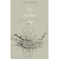 Tomas Bannerhed En vacker dag (bok, danskt band)