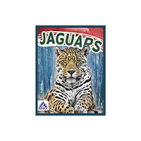 North Star Editions Wild Cats: Jaguars (häftad, eng)