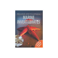 B Jain Publishers Pvt Ltd Marine Invertebrates (inbunden, eng)