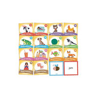 Jolly Learning Ltd Jolly Phonics Read and See, Pack 1 (häftad, eng)