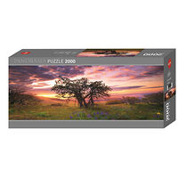 HEYE Photo Panorama Humboldt Oak Tree (2000 b) Heye