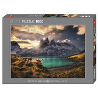 HEYE Photo Humboldt Guanacos 1000