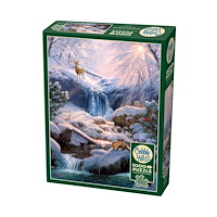 Cobble Hill Mystic Falls in Winter (1000 b)