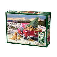 Cobble Hill Family Outing (1000 b)