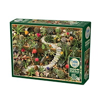 Cobble Hill Succulent Garden (1000 b)