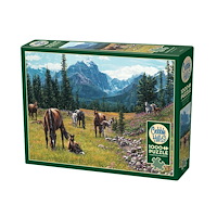 Cobble Hill Horse Meadow (1000 b)