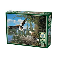 Cobble Hill Nesting Eagles (1000 b)