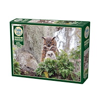 Cobble Hill Great Horned Owl (1000 b)