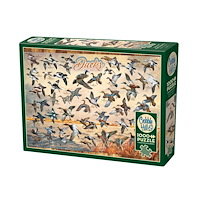 Cobble Hill Ducks of North America (1000 b)
