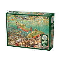 Cobble Hill Brook Trout (1000 b)