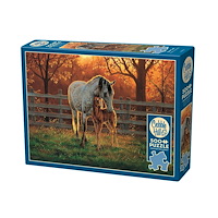 Cobble Hill Quiet Time (500 b) Cobble & Hill