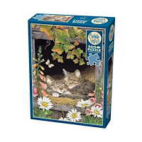 Cobble Hill Sisters (500 b) Cobble & Hill