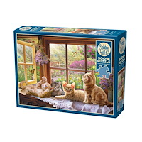 Cobble Hill Sunbeam (500 b) Cobble & Hill