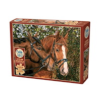 Cobble Hill Friends Forever (275 Stora Bitar)