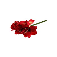 No Brand Dekoration Amaryllis 50cm